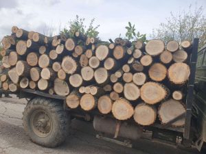 Търговията с Хебей-Централна Азия скочи 110 процента