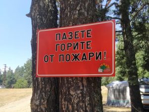 Изпълнителна агенция по горите | Новини