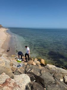 Басейнова дирекция следи водите на Черно море за замърсяване от войната в Украйна